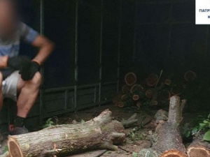 Фото пресслужби Полку патрульної поліції Кривого Рогу