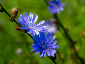 Фото з відкритих джерел 