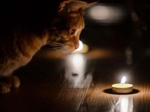 Фото із мережі Інтернет