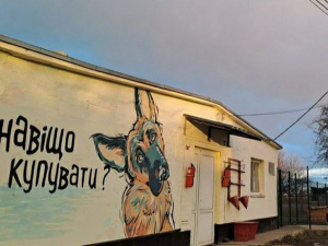 Фото Центру поводження з тваринами