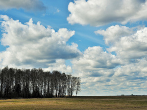 Фото ілюстративне з відкритих джерел  