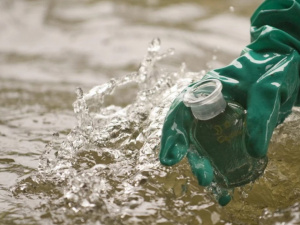Фото з відкритих джерел