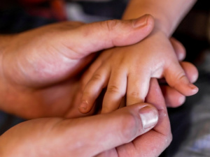 Фото Дніпропетровської ОВА