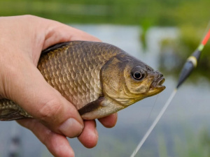 Фото з відкритих джерел