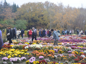 Фото Криворізького ботсаду
