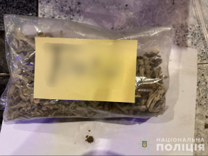 у Кривому Розі затримали ділера, фото Національної поліції