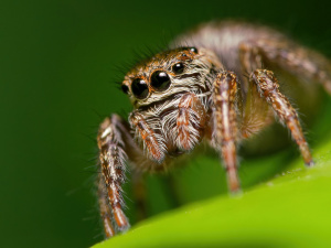 Фото з відкритих джерел 