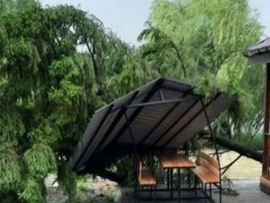 За Кривим Рогом пронісся ураган: пошкоджено територію турбази «Мар’янівка»