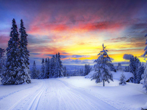 Погода на вікенд - фото ілюстративне з відкритих джерел  