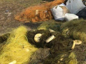 Фото: Дніпропетровський рибоохоронний патруль