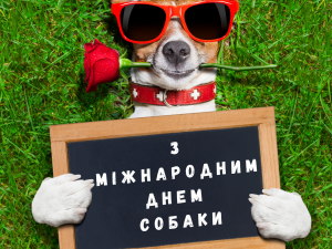 Не просто домашній улюбленець: чому у світі відзначають День собаки - фото з відкритих джерел