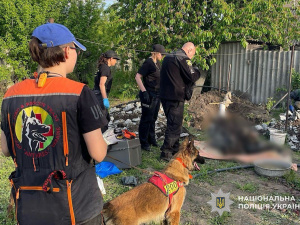 Вбивство матері, фото Національної поліції України