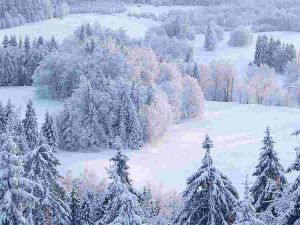 Морози до -25 °С: якою буде погода в Україні найближчими днями - фото з відкритих джерел
