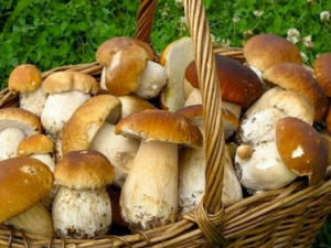 Фото із мережі Інтернет