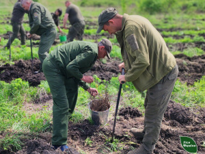 «Ліси Захисників і Захисниць України»: на Криворіжжі висадили дерева на честь військових