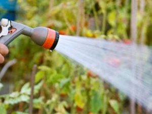 У Кривому Розі стартує поливний сезон: скільки коштуватиме вода для клумби?