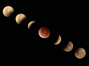 Фото з відкритих джерел