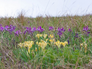 Фото Анатолія Сальніка
