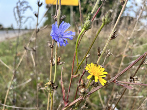 Що одягати на прогулянку: прогноз погоди на вихідні 7-8 жовтня