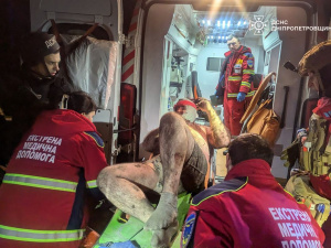 Фото пресслужби ДСНС України у Дніпропетровській області 