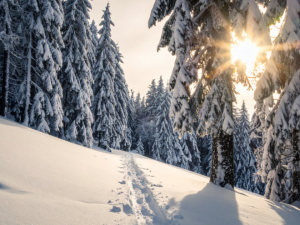 Морози, сніг і дощ: прогноз погоди в Україні на 10–11 січня - фото з відкритих джерел