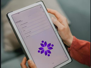 фото з відкритих джерел