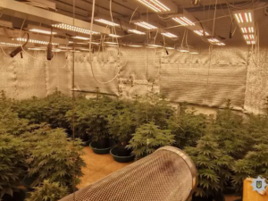 Стоп-кадр із відео патрульної поліції Кривого Рогу