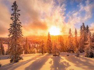 Фото з відкрити джерел