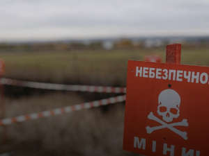 Розмінування полей, фото з відкритих джерел 