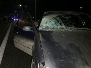 Фото из сети Интернет