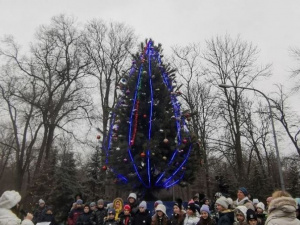 У парку Мершавцева засяяла новорічна ялинка