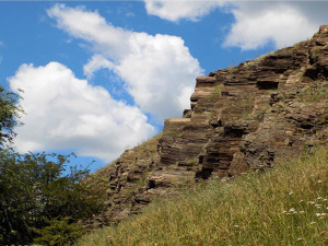 Фото з відкритих джерел