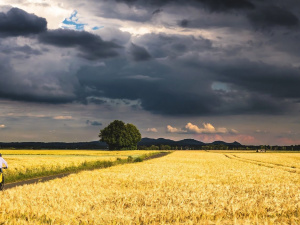 Фото з відкритих джерел      