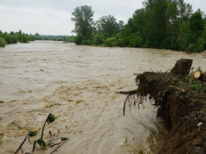 Фото із мережі Інтернет
