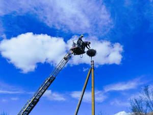 Фото пресслужби компанії ДТЕК