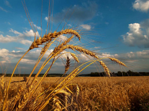Фото з відкритих джерел      