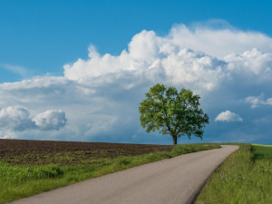 Погода на тиждень - фото ілюстративне з відкритих джерел 