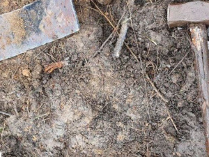 У Кривому Розі затримали п’ять людей, які здійснювали вирізку металевої труби