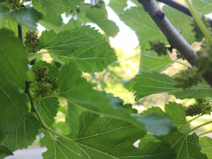 Фото редакції krivbass.city