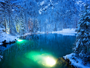 Фото ілюстративне з відкритих джерел 