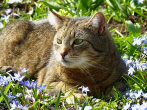 Сонячні вихідні в Україні: де буде найтепліше 14–15 березня
