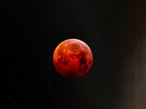 Фото ілюстративне з відкритих джерел 