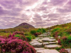 На порозі похолодання - фото ілюстративне з відкритих джерел  