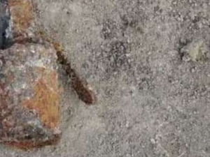 Фото пресслужби ДСНС Кривого Рогу