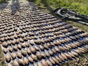 Фото полиции Днепропетровской области