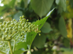 Фото редакції krivbass.city