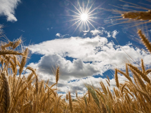 Погода в уїк-енд - фото ілюстративне з відкритих джерел