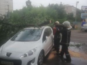 Фото пресс-службы ГСЧС Кривого Рога