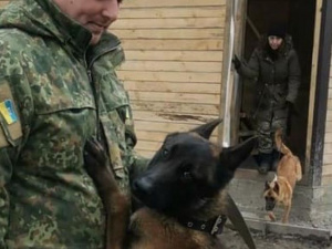 фото поліції Дніпропетровської області 