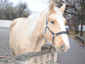 Фото Дніпропетровської обласної служби зайнятості